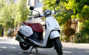 نیکران موتور