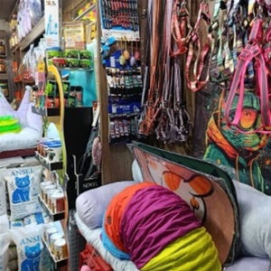 مرسی پت